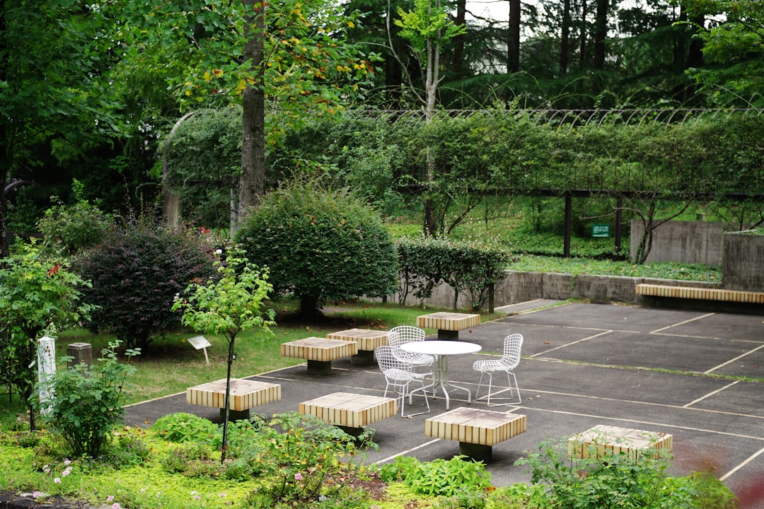 Backyard landscape design